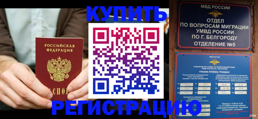 прописка 2025 в Электрогорске